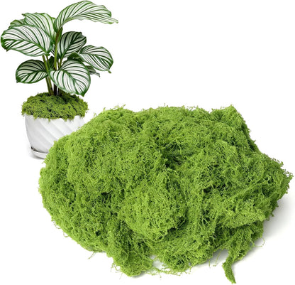 50g/1.76oz Fake Moss for Crafts, Light Green Plants Indoor, DIY Decorative Moss for Fairy Garden Floral Wedding Model Making Glass Containers Home