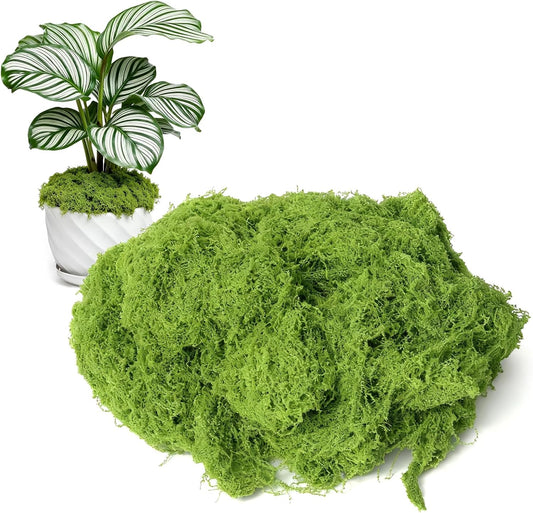 50g/1.76oz Fake Moss for Crafts, Light Green Plants Indoor, DIY Decorative Moss for Fairy Garden Floral Wedding Model Making Glass Containers Home