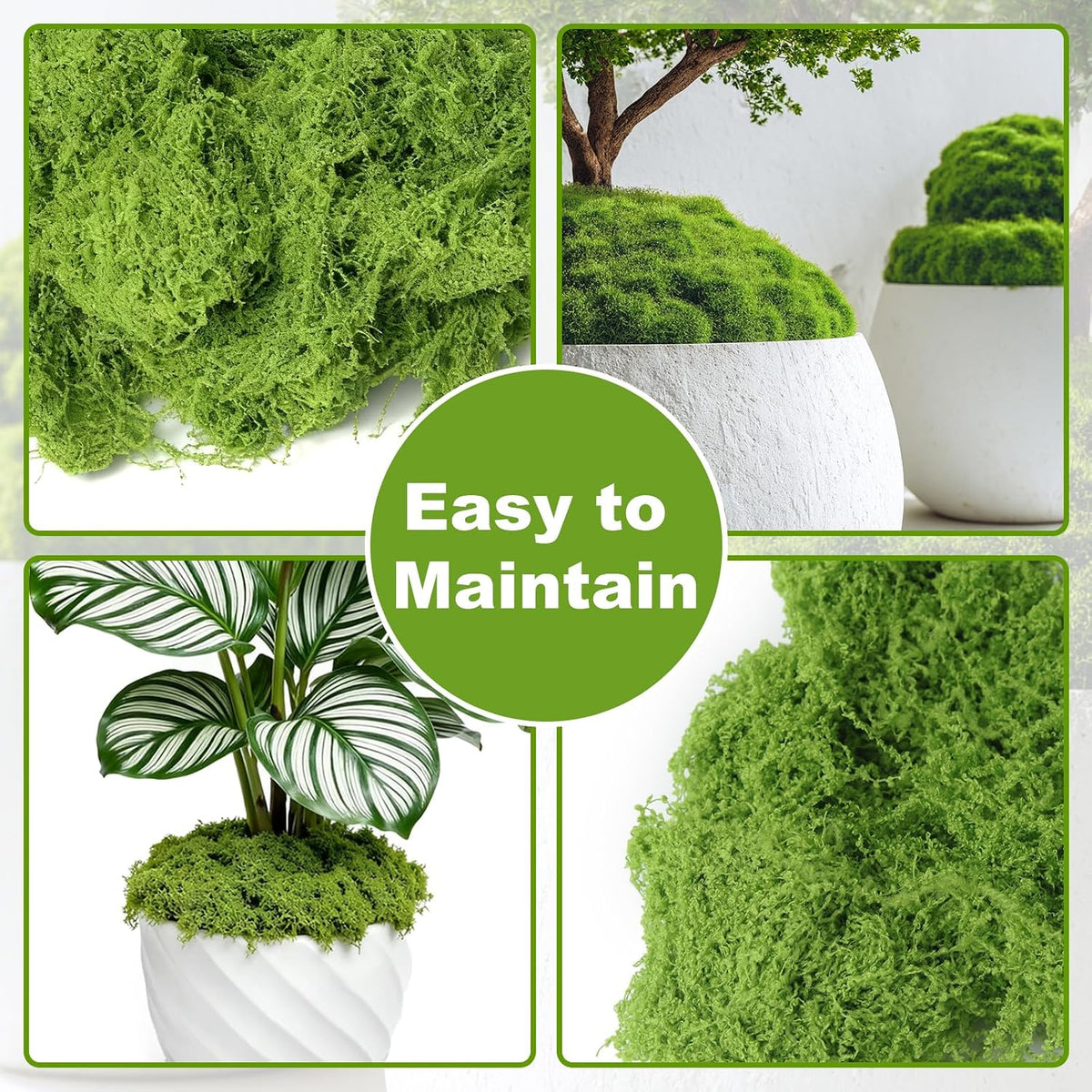 50g/1.76oz Fake Moss for Crafts, Light Green Plants Indoor, DIY Decorative Moss for Fairy Garden Floral Wedding Model Making Glass Containers Home
