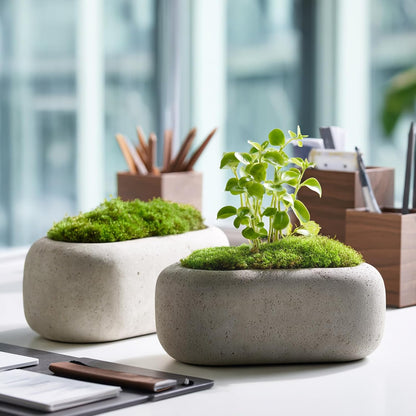 50g/1.76oz Fake Moss for Crafts, Light Green Plants Indoor, DIY Decorative Moss for Fairy Garden Floral Wedding Model Making Glass Containers Home