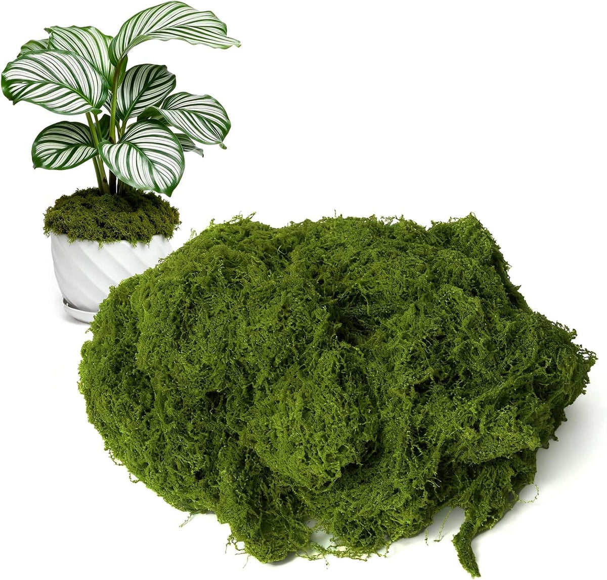 50g/1.76oz Fake Moss for Crafts, Light Green Plants Indoor, DIY Decorative Moss for Fairy Garden Floral Wedding Model Making Glass Containers Home