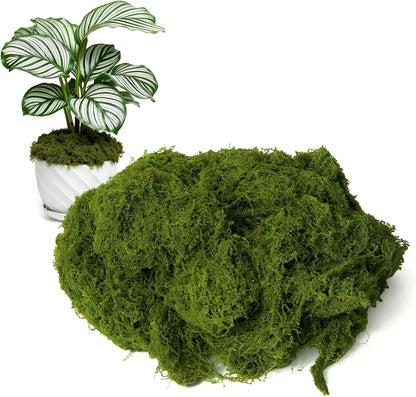 50g/1.76oz Fake Moss for Crafts, Light Green Plants Indoor, DIY Decorative Moss for Fairy Garden Floral Wedding Model Making Glass Containers Home