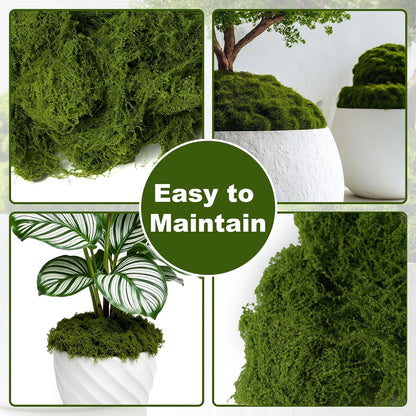 50g/1.76oz Fake Moss for Crafts, Light Green Plants Indoor, DIY Decorative Moss for Fairy Garden Floral Wedding Model Making Glass Containers Home