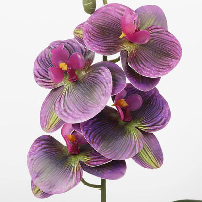 Spotted Fake Orchids, Reptile Terrarium Habitat Décor