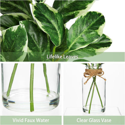 2 Packs Real Touch Faux Alocasia Plants in Vase with Woven Sleeve & Faux Water, 10.6" Small Fake Plants Artificial Alocasia Silk Plants for Home Decor, Kitchen Bathroom Living Room Table Centerpiece