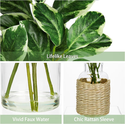 2 Packs Real Touch Faux Alocasia Plants in Vase with Woven Sleeve & Faux Water, 10.6" Small Fake Plants Artificial Alocasia Silk Plants for Home Decor, Kitchen Bathroom Living Room Table Centerpiece
