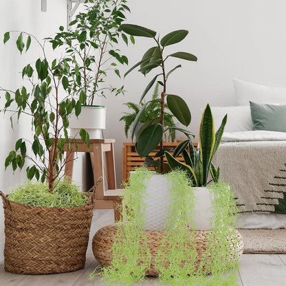 15 Pcs Spanish Moss Faux Hanging Moss Garland Fake Greenery Artificial Decor for Crafts(43 Inch,Green)