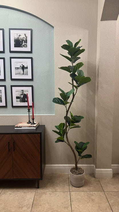 6 ft Artificial Fiddle Leaf Fig Tree with Black Nursery Planter