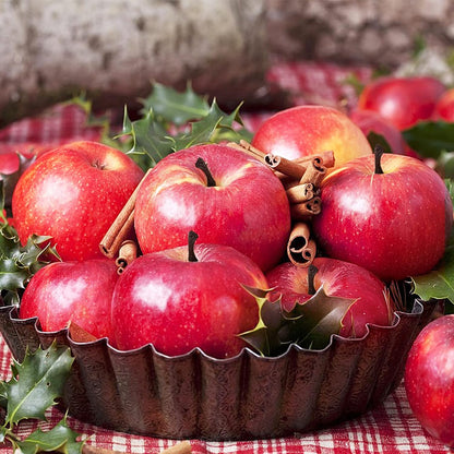 Fake Fruit Artificial Apples, Set of 6 Decorative Fruit Lifelike Faux Apples Realistic Fruits Apple Decorations for Kitchen, Realistic Fake Fruits Party Props Home Decor