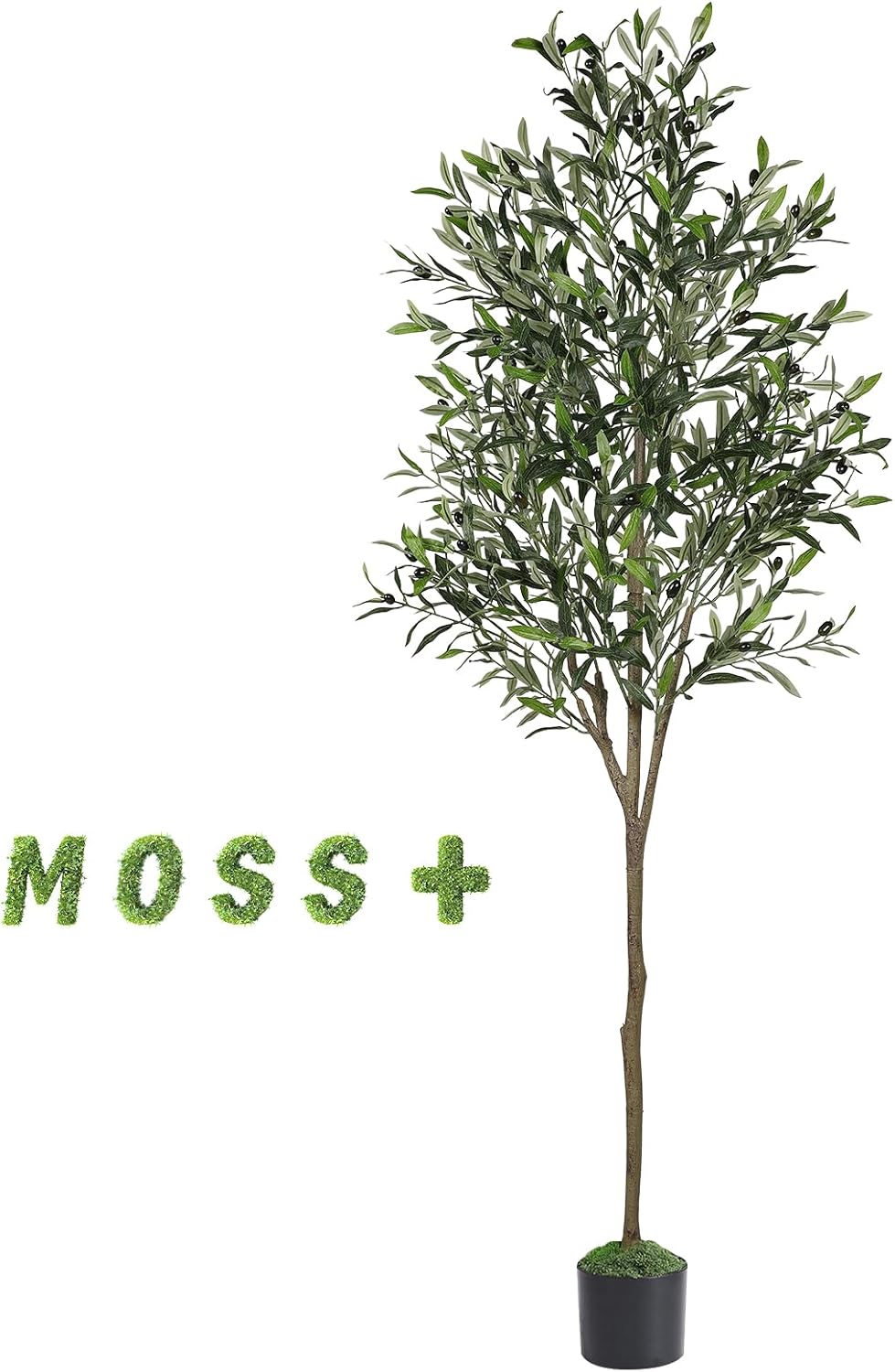 6ft Faux Olive Tree with Lifelike Fruits and Realistic Leaves | Artificial Potted Olive Tree, Fake Plant for Living Room, Office & Modern Home Decoration