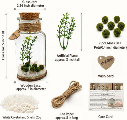 Moss Balls Glass Terrarium Kit - 7 Pcs Glass Terrarium Decor with White Crystal, DIY Aquarium and Home Decor for Desk and Room Styling
