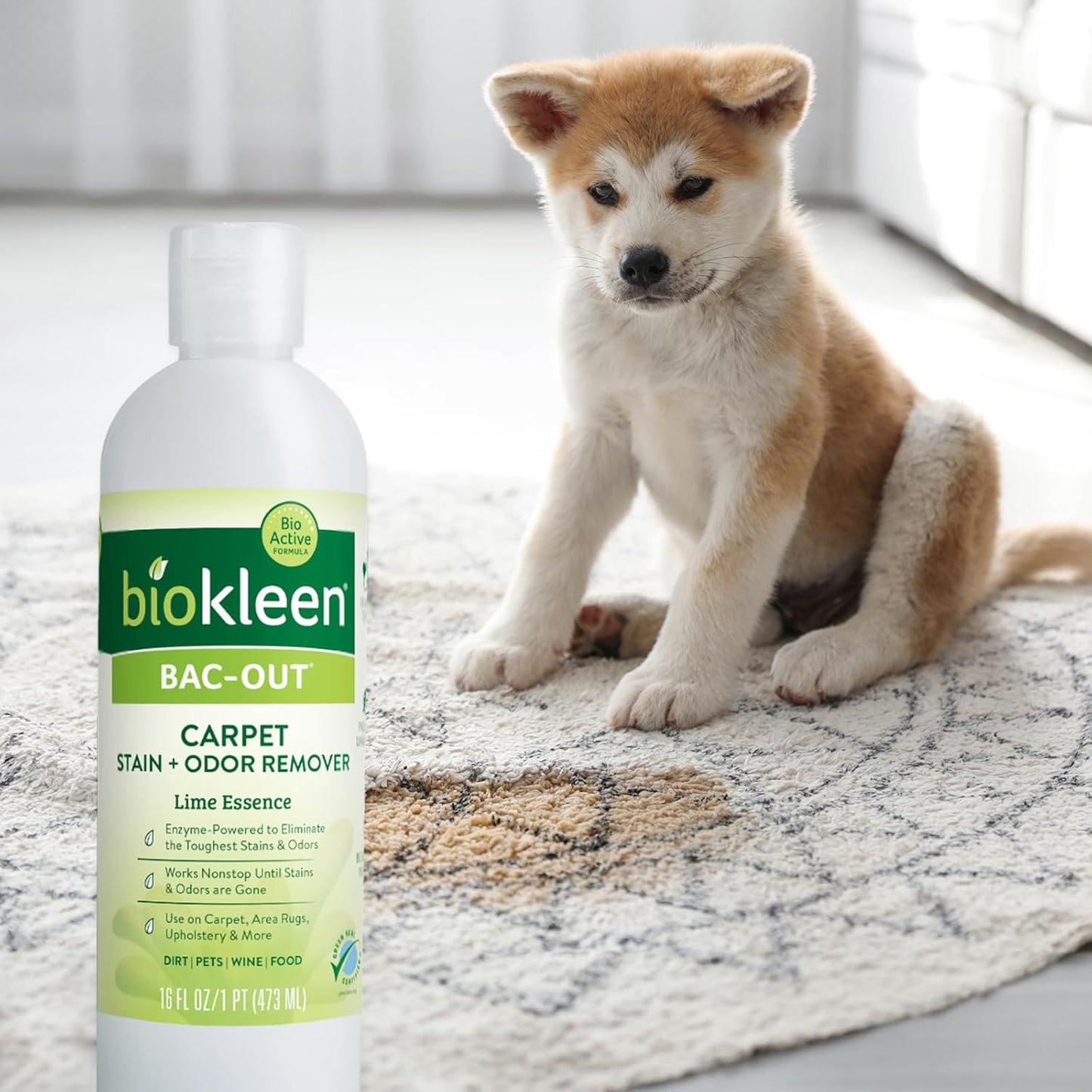 Bac-Out Enzyme Cleaner Spray and Stain & Odor Remover for Pet Stains, Laundry, Diapers, Wine, Carpets, & More, Eco-Friendly, Non-Toxic, Lime Scent, 32 Ounces