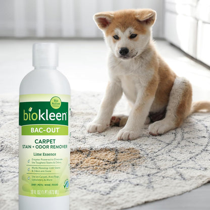 Bac-Out Enzyme Cleaner Spray and Stain & Odor Remover for Pet Stains, Laundry, Diapers, Wine, Carpets, & More, Eco-Friendly, Non-Toxic, Lime Scent, 32 Ounces