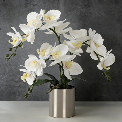 Potted Artificial Orchid Flowers,Real Touch White Fake Artificial Orchid Flower in Silver Vase Arrangement for Table Living Room Decoration (White,Silver Vase)