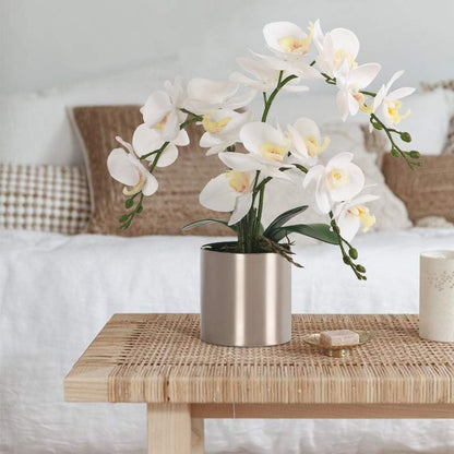 Potted Artificial Orchid Flowers,Real Touch White Fake Artificial Orchid Flower in Silver Vase Arrangement for Table Living Room Decoration (White,Silver Vase)