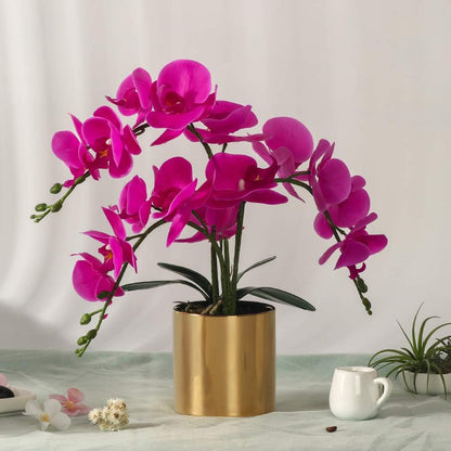 Potted Artificial Orchid Flowers,Real Touch White Fake Artificial Orchid Flower in Silver Vase Arrangement for Table Living Room Decoration (White,Silver Vase)