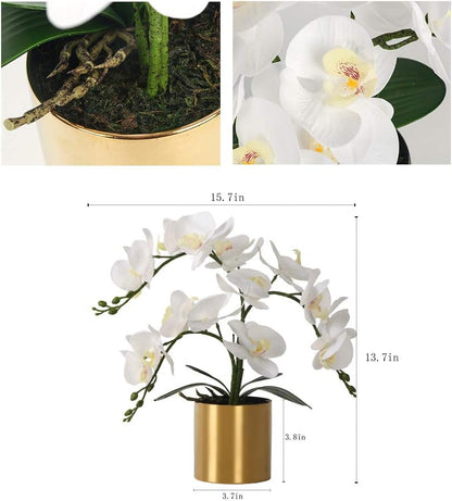 Potted Artificial Orchid Flowers,Real Touch White Fake Artificial Orchid Flower in Silver Vase Arrangement for Table Living Room Decoration (White,Silver Vase)