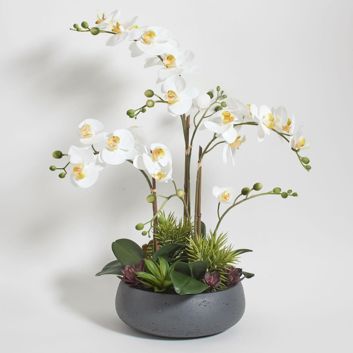 Faux Orchid Plant w/Succulents, 24 in, Grey, Home Decor