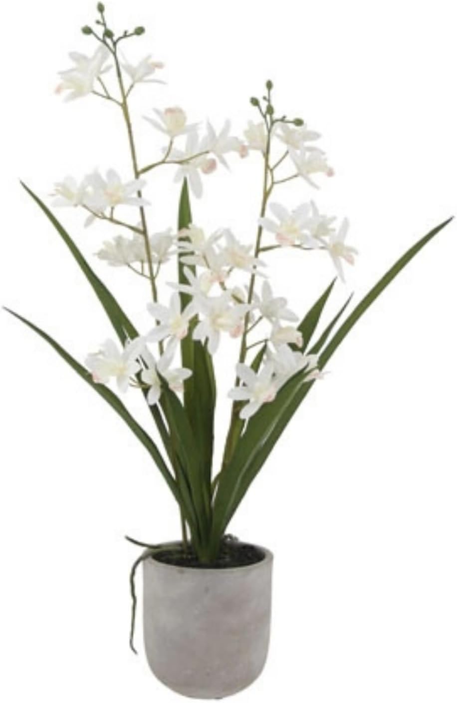 Faux Orchid Plant w/Succulents, 24 in, Grey, Home Decor