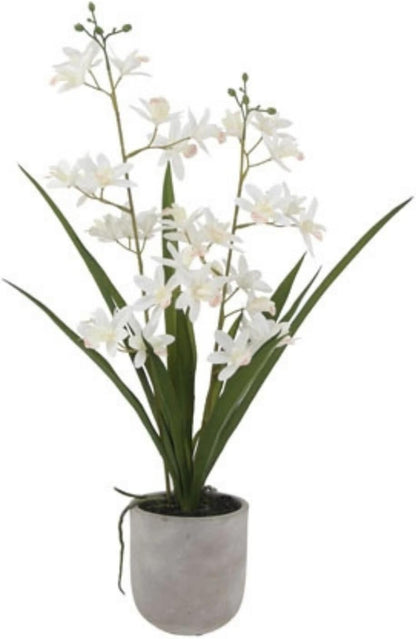 Faux Orchid Plant w/Succulents, 24 in, Grey, Home Decor