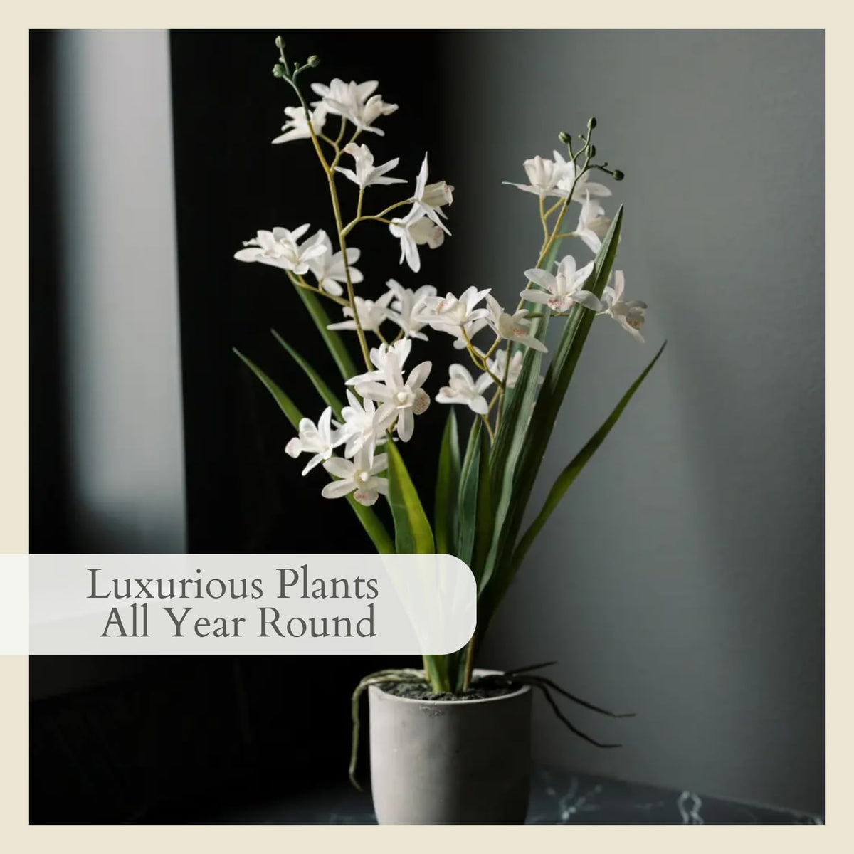 Faux Orchid Plant w/Succulents, 24 in, Grey, Home Decor