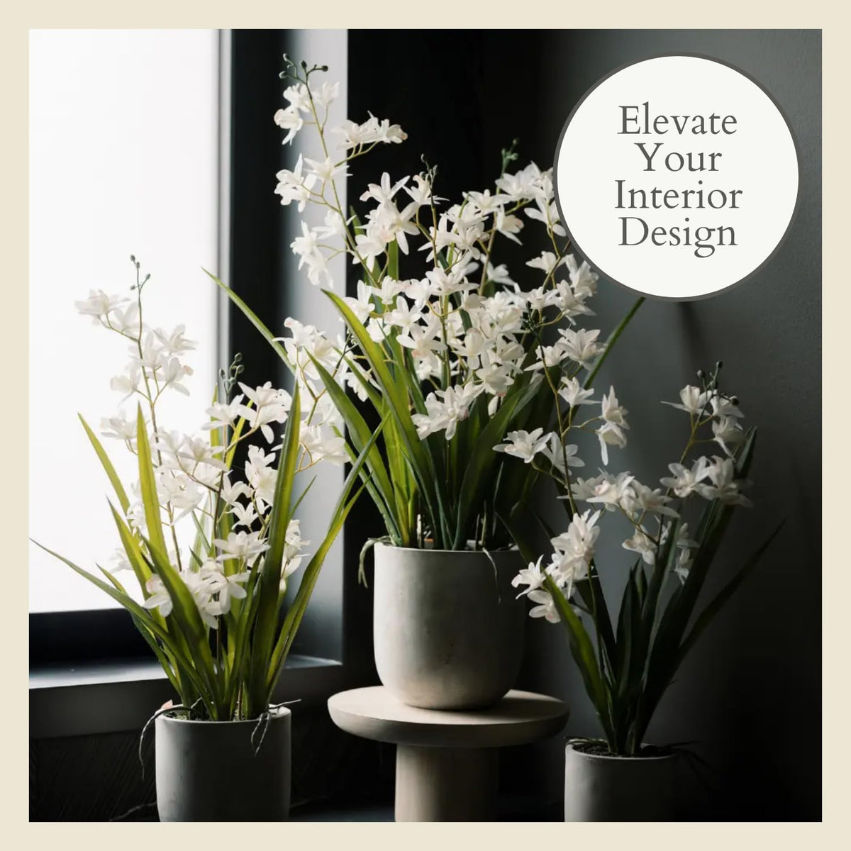 Faux Orchid Plant w/Succulents, 24 in, Grey, Home Decor