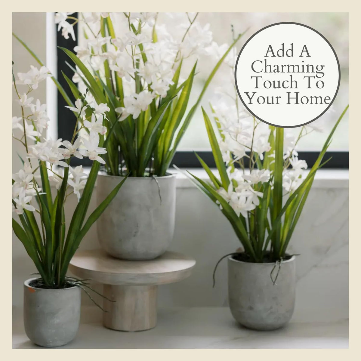 Faux Orchid Plant w/Succulents, 24 in, Grey, Home Decor