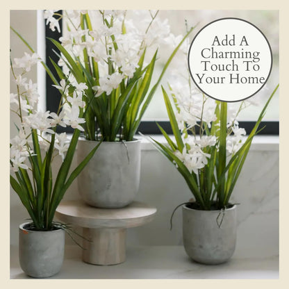Faux Orchid Plant w/Succulents, 24 in, Grey, Home Decor