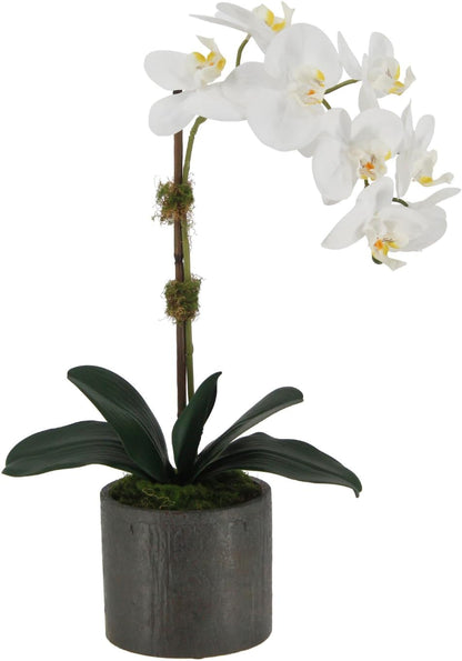 Faux Orchid Plant w/Succulents, 24 in, Grey, Home Decor