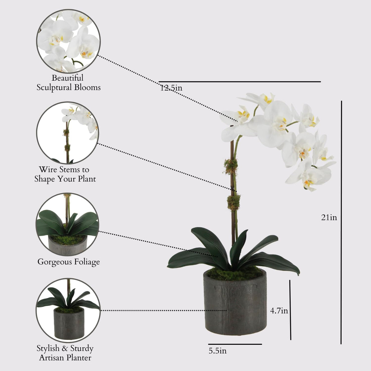 Faux Orchid Plant w/Succulents, 24 in, Grey, Home Decor