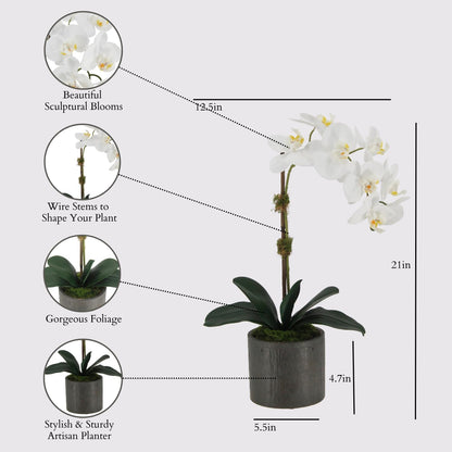 Faux Orchid Plant w/Succulents, 24 in, Grey, Home Decor