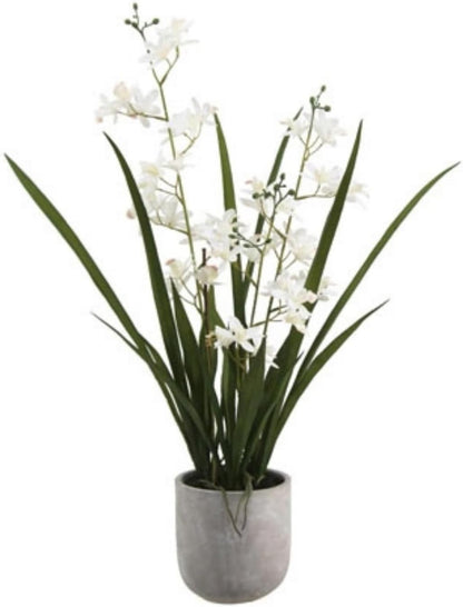 Faux Orchid Plant w/Succulents, 24 in, Grey, Home Decor