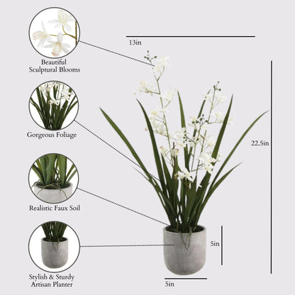 Faux Orchid Plant w/Succulents, 24 in, Grey, Home Decor
