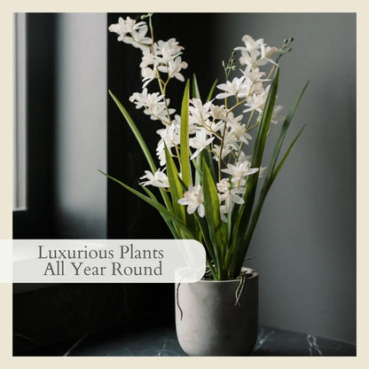Faux Orchid Plant w/Succulents, 24 in, Grey, Home Decor