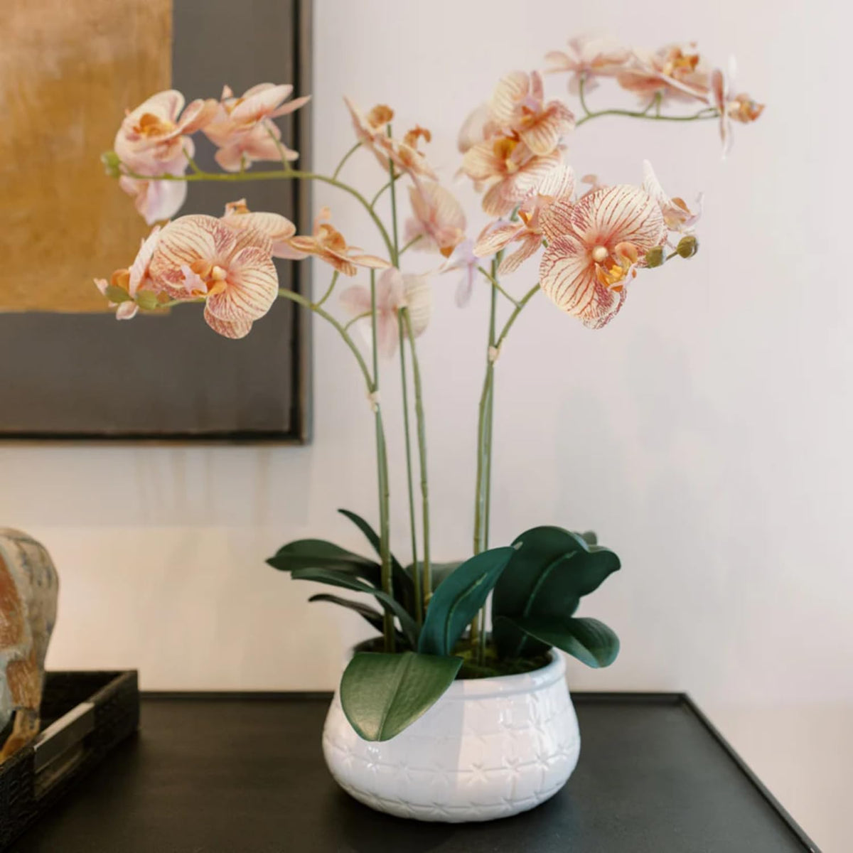 Faux Orchid Plant w/Succulents, 24 in, Grey, Home Decor