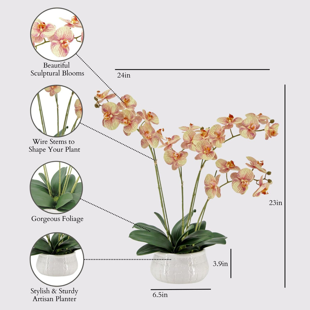 Faux Orchid Plant w/Succulents, 24 in, Grey, Home Decor