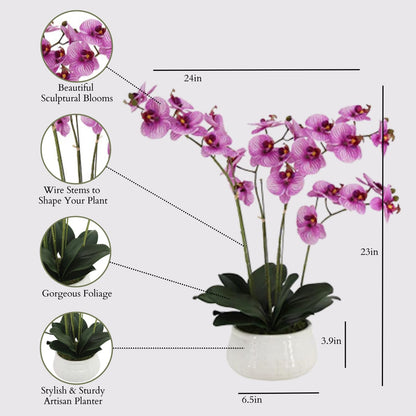 Faux Orchid Plant w/Succulents, 24 in, Grey, Home Decor