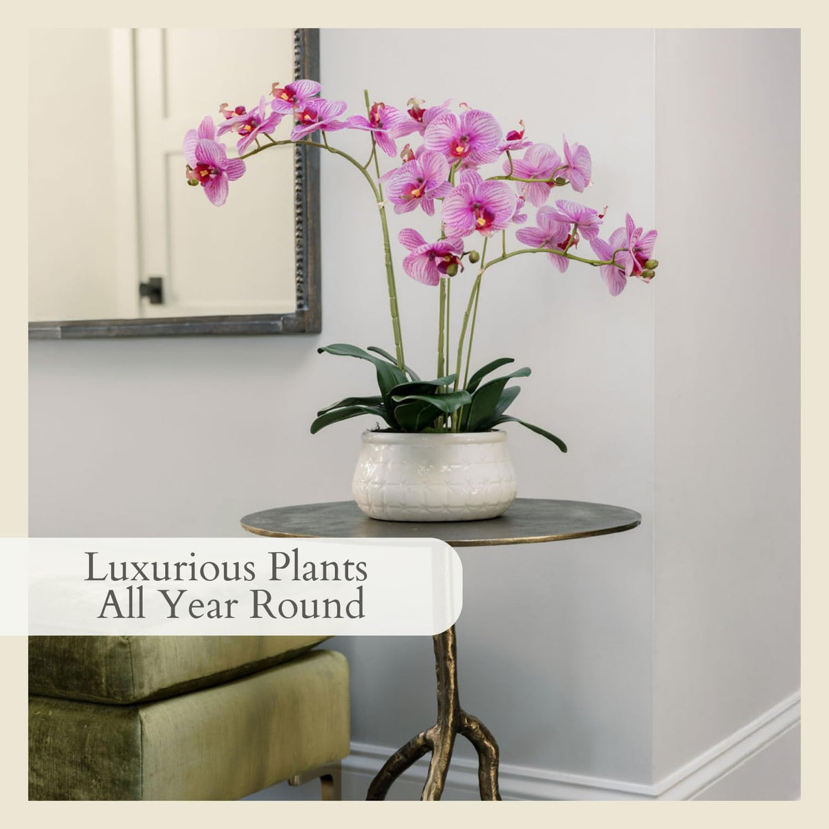 Faux Orchid Plant w/Succulents, 24 in, Grey, Home Decor