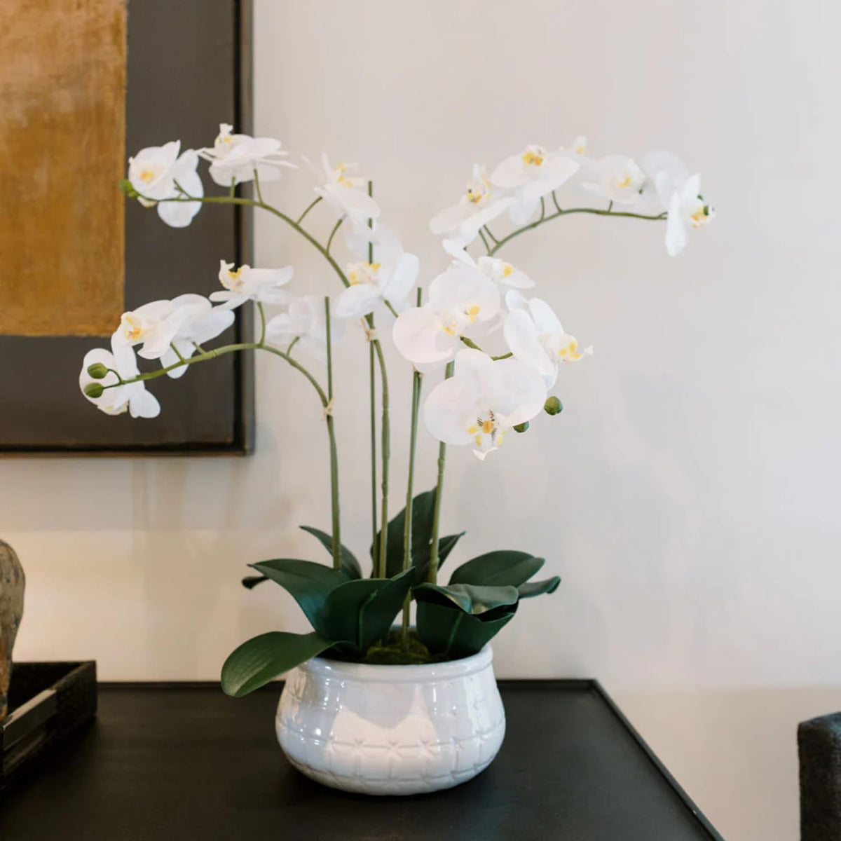Faux Orchid Plant w/Succulents, 24 in, Grey, Home Decor