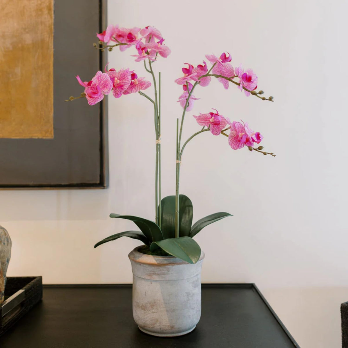 Faux Orchid Plant w/Succulents, 24 in, Grey, Home Decor