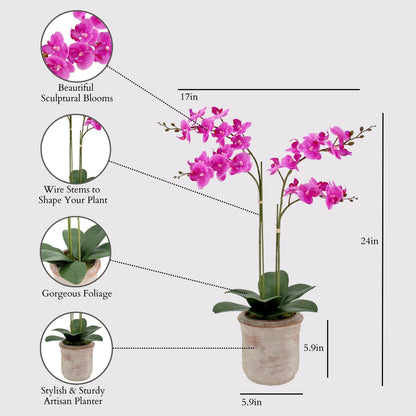 Faux Orchid Plant w/Succulents, 24 in, Grey, Home Decor