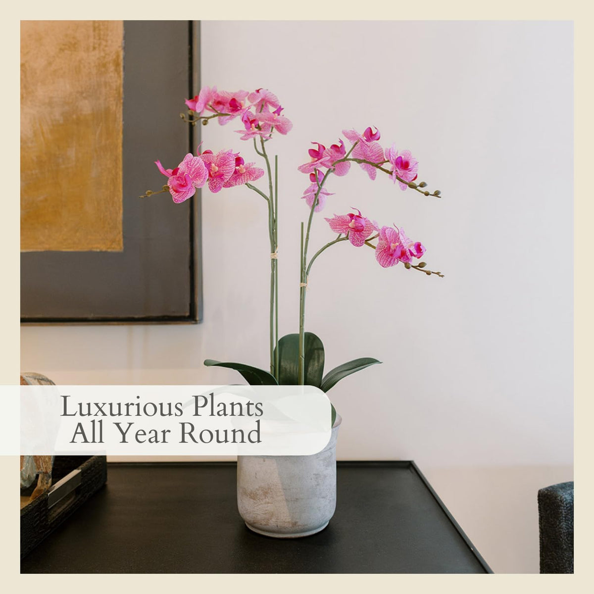 Faux Orchid Plant w/Succulents, 24 in, Grey, Home Decor