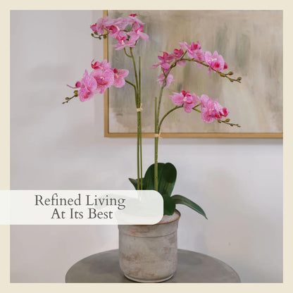 Faux Orchid Plant w/Succulents, 24 in, Grey, Home Decor