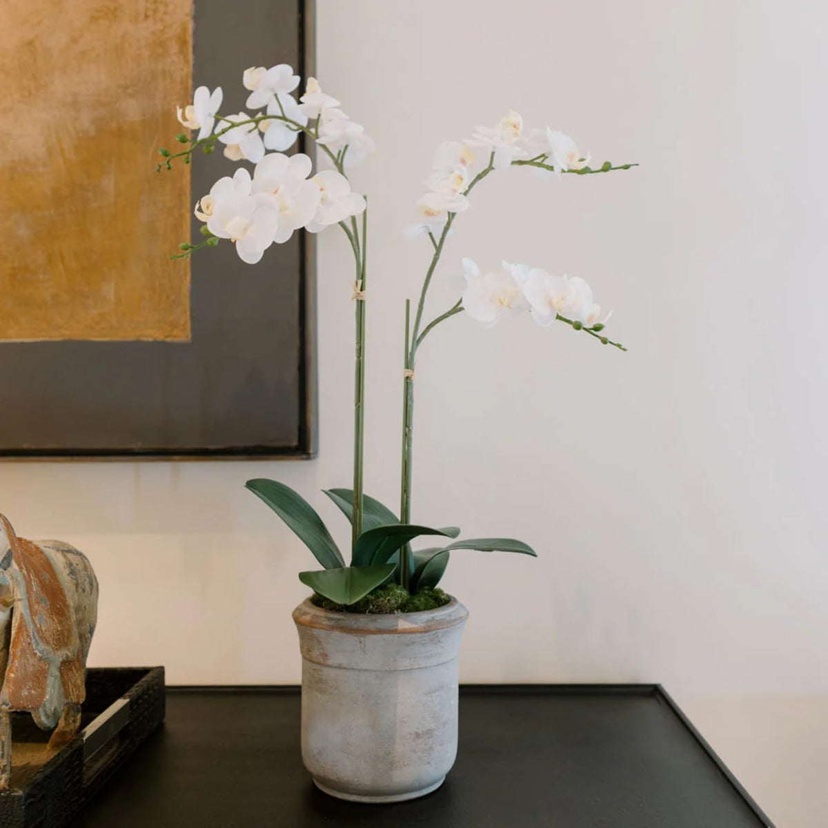 Faux Orchid Plant w/Succulents, 24 in, Grey, Home Decor
