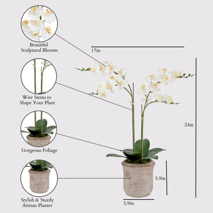 Faux Orchid Plant w/Succulents, 24 in, Grey, Home Decor
