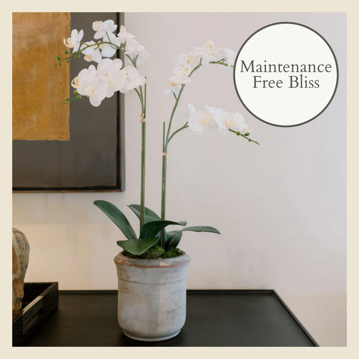 Faux Orchid Plant w/Succulents, 24 in, Grey, Home Decor