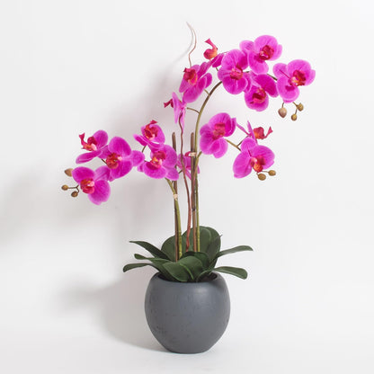 Faux Orchid Plant w/Succulents, 24 in, Grey, Home Decor