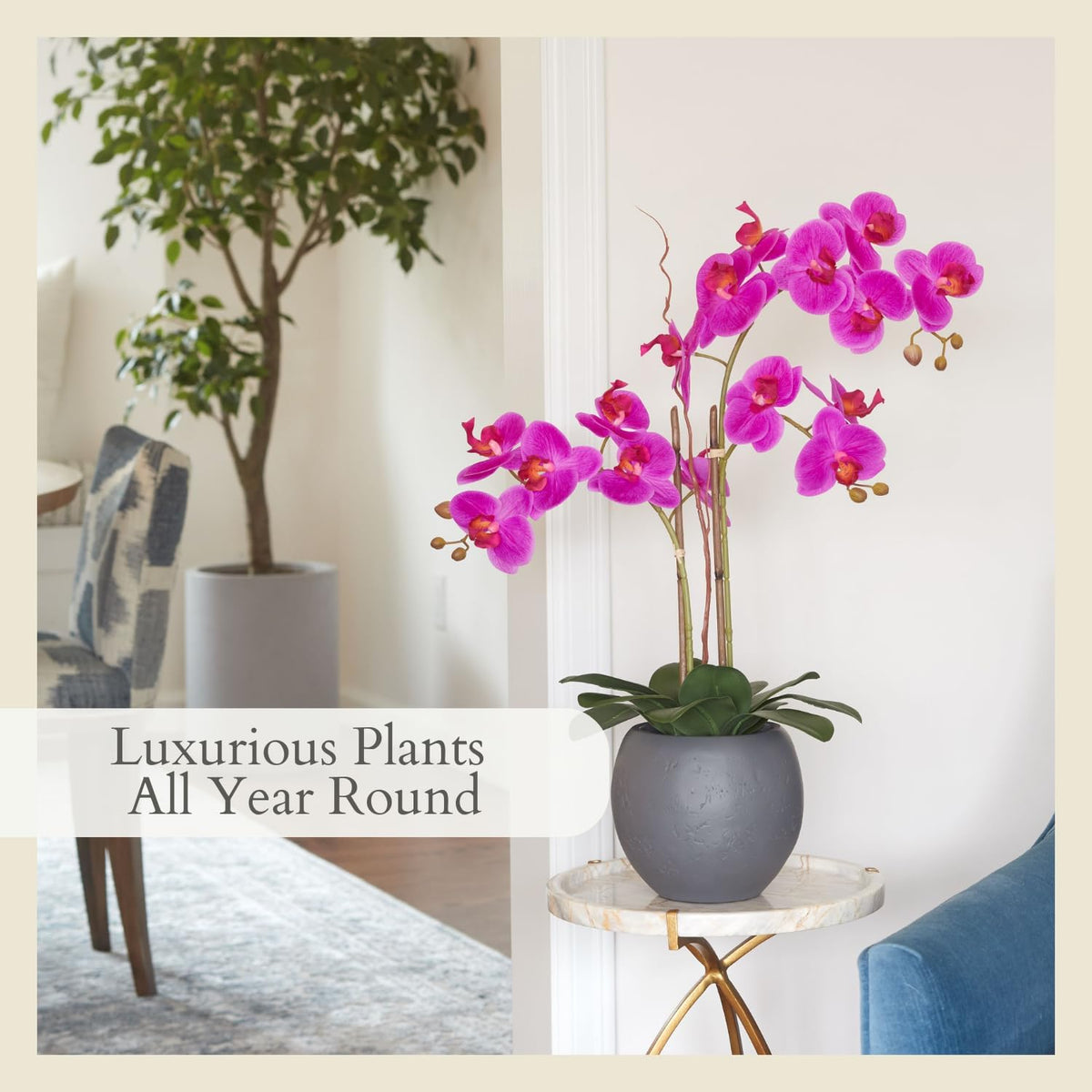 Faux Orchid Plant w/Succulents, 24 in, Grey, Home Decor