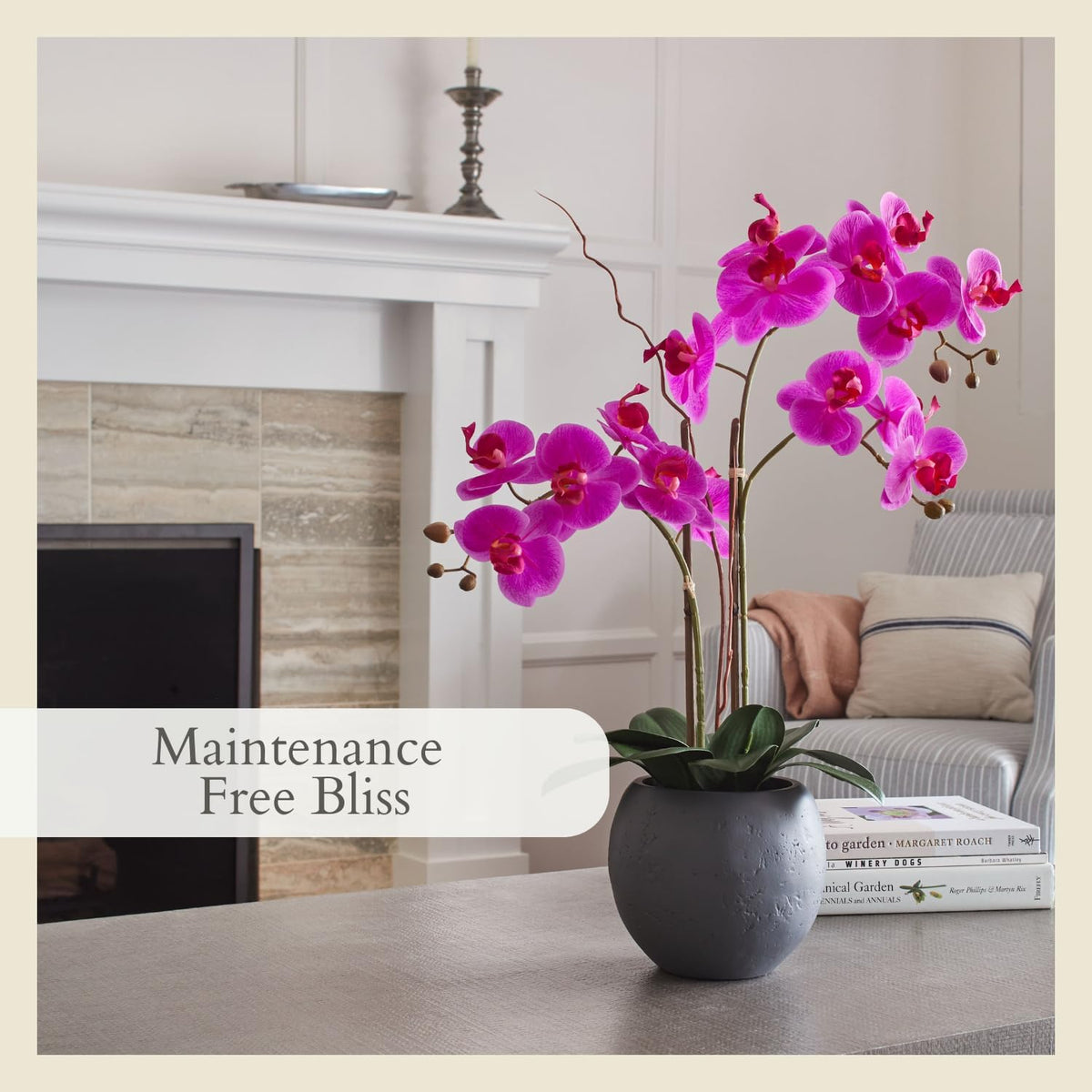 Faux Orchid Plant w/Succulents, 24 in, Grey, Home Decor