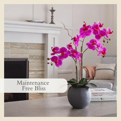 Faux Orchid Plant w/Succulents, 24 in, Grey, Home Decor